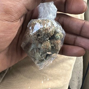 Dolo100 TO THE CASH PT.2