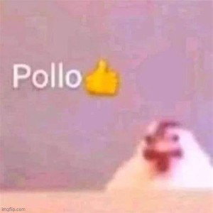 pollo👍 ooga booga
