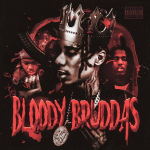 SMOKING ALL OPPS- Bloodhound AK-ACE (Official Music Audio)