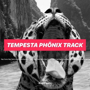 tempesta Phönix track