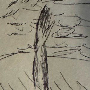 Vine