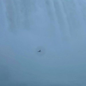 wings up to the sky