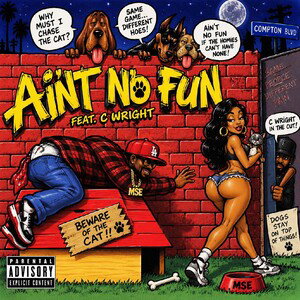 Aint No Fun