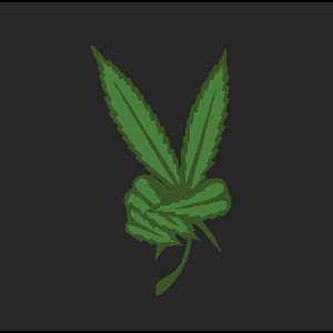 Freestyle Fridays vol. II