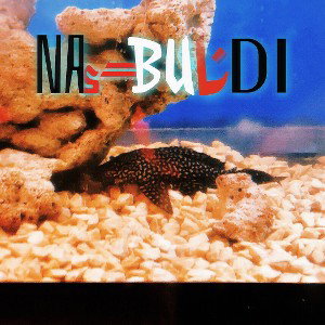 NABUDI - HES