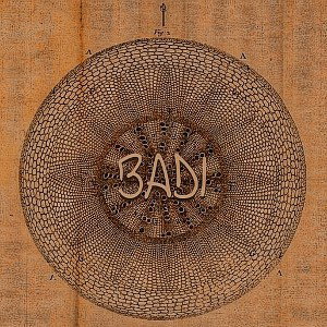 BADI - HES