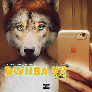 DWIIBA V2