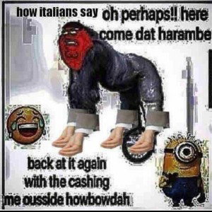 Grocery sto