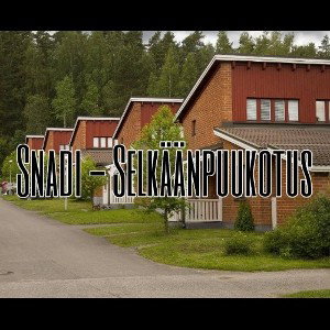 Snadi - Selkäänpuukotus 
