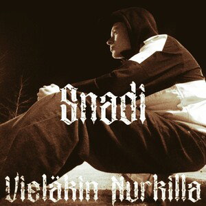 Snadi - Harmaa Arki (ft. Viialan Vässäri) 