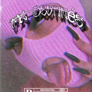 Vsk - ma destinée