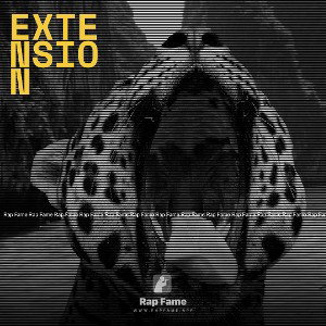 extension 