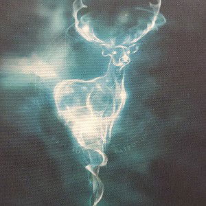 'section'