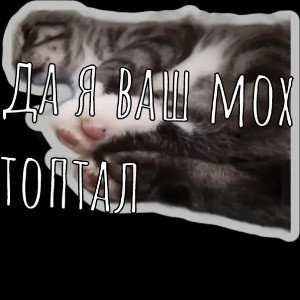 делайте FULL METALL