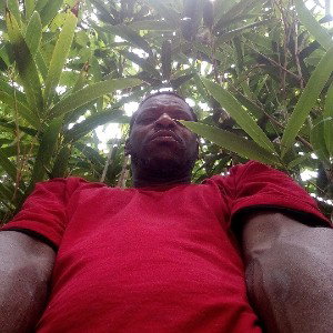 under the sun