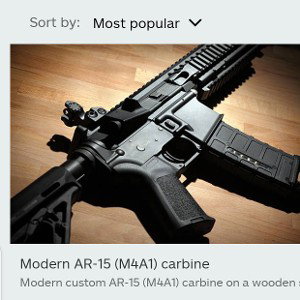 AR-15