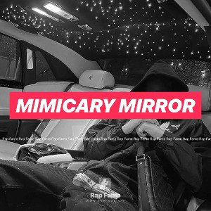 mimicary mirror 