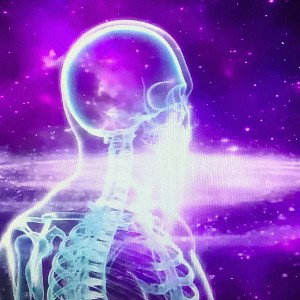 journey in the mind of a prison sage