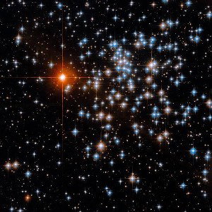 star shopping freestyle 