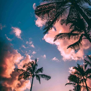 rellybowy - paradise 2023-08-24 17_43