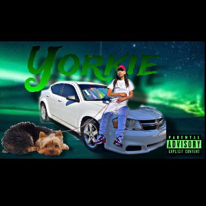 DvddyInk - Yorkie