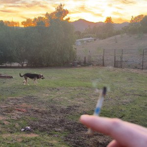 On my Own ft. SOUTHW¡ND