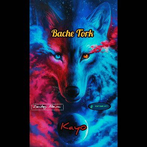 BacheTork 