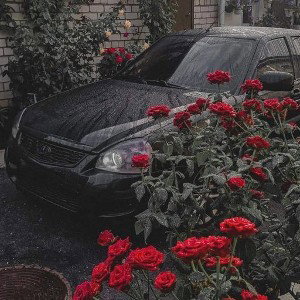 Назим - чёрная приора