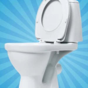 The Toilet's Clogged