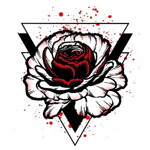 Red Rose 