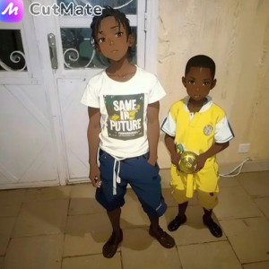 Tom ché __conseil