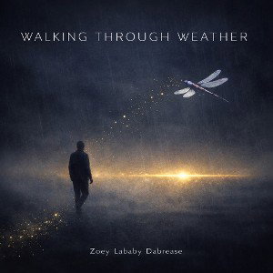 Walking Through Weather 