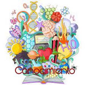 Conocimiento