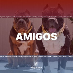 Amigos