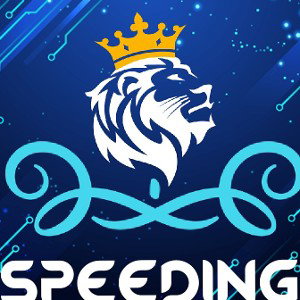Speeding 