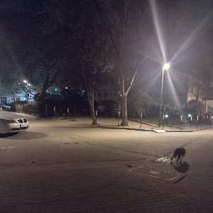 Wiadro Lpw -PZG Czasem Potrzebujemy Snu 