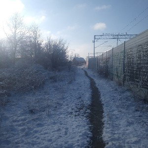 Wiadro Lpw -PZG Nie Zmieniajmy Się 