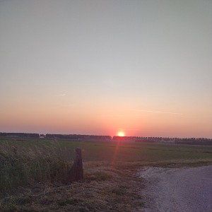 Wiadro Lpw -PZG Strach Ma Wielkie Oczy Tylko