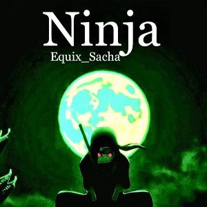 Ninja 