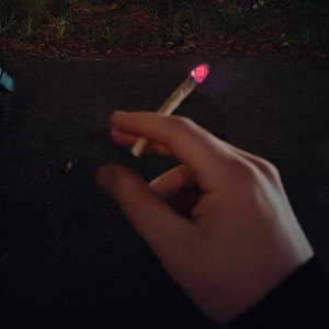 Сам по себе 