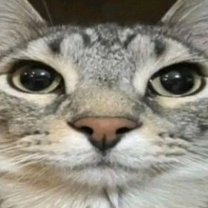I wanna suck