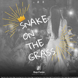 snake on the grass