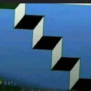 this one crazy 
