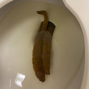 Niggah aint shit
