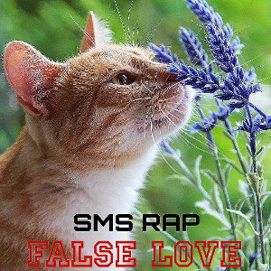 SMS RAP - intro 