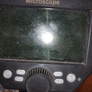 under the microscope