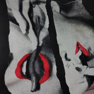 bunnys