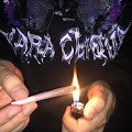 alter freestyle