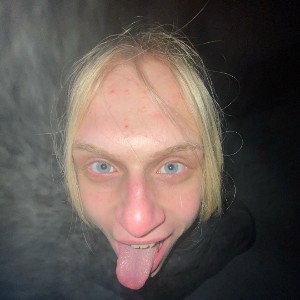 пизда пингвина