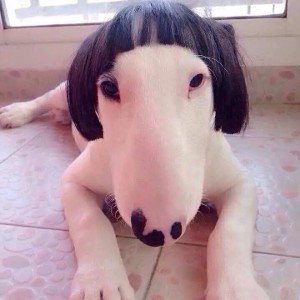 моя любовь